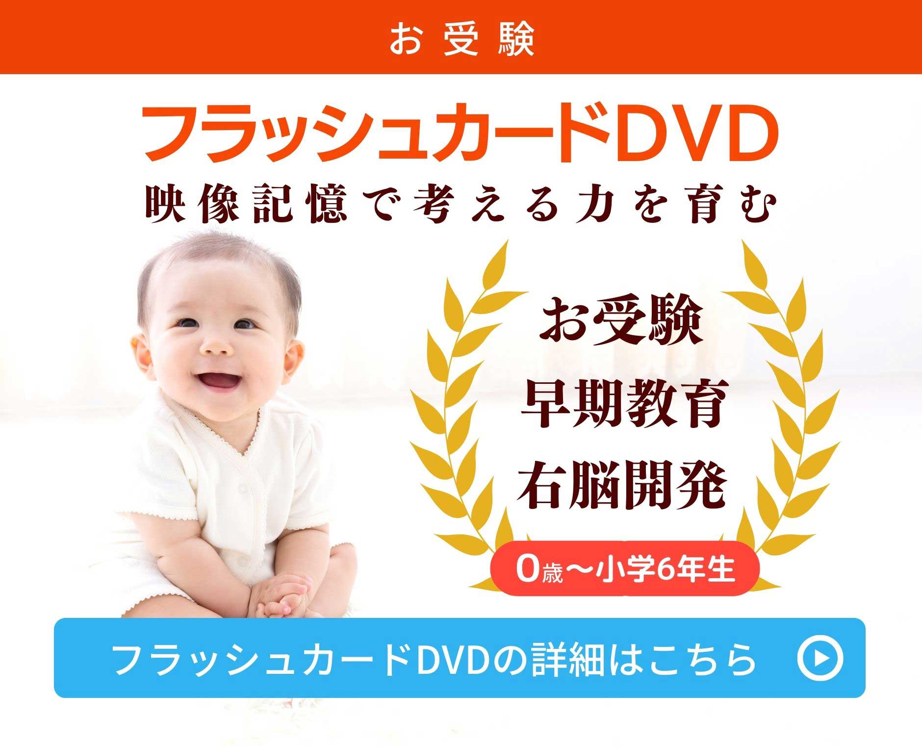 星みつる式 発達障害DVD フラッシュカードDVD 知育DVD【IQ才能学園】