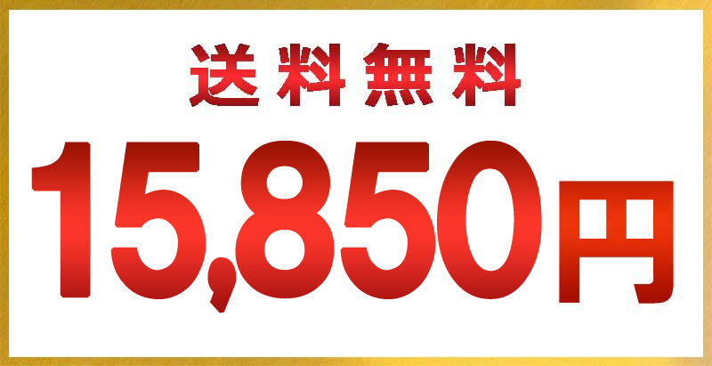 送料無料・15,561円