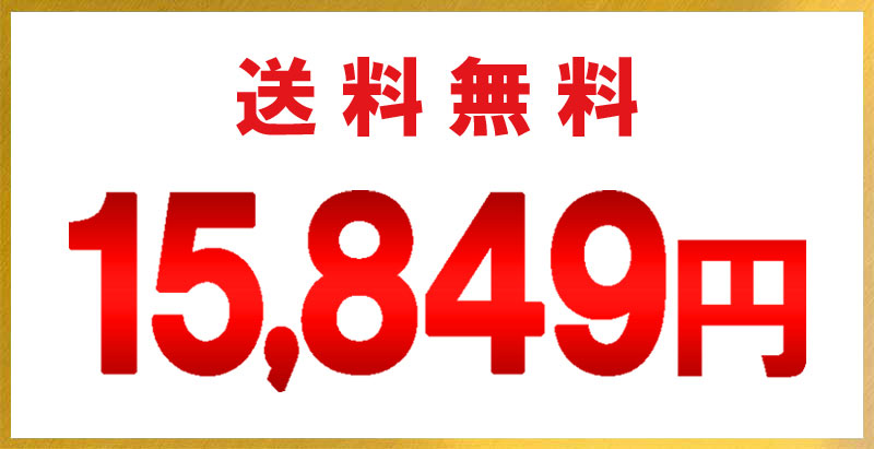 送料無料・15,845円