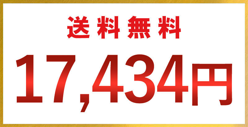 送料無料・17,434円