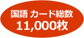 国語カード総数11000枚