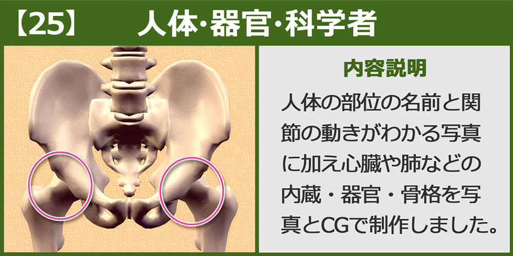 人体・器官・科学者