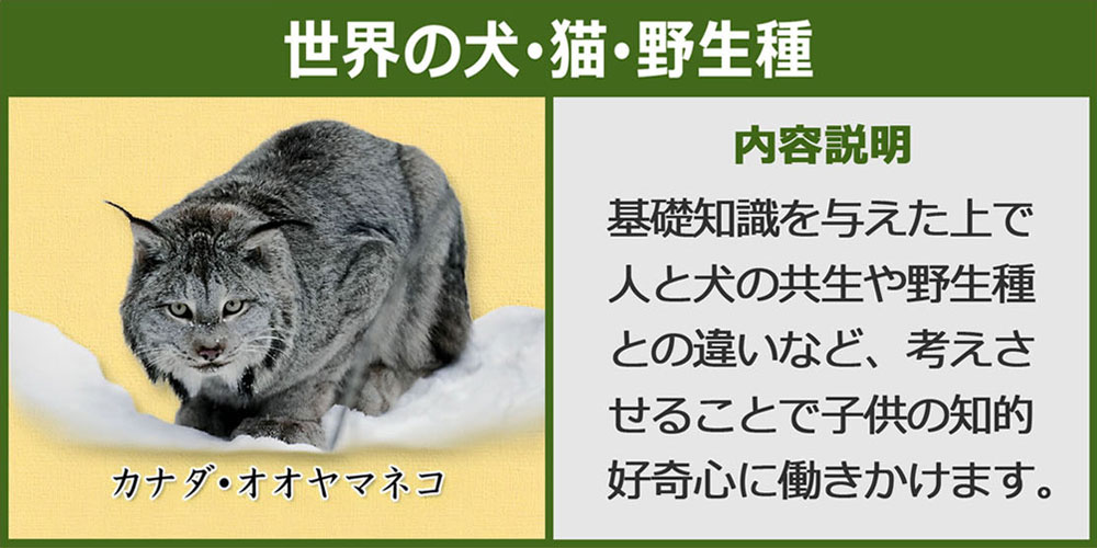 世界の犬・猫・野生種