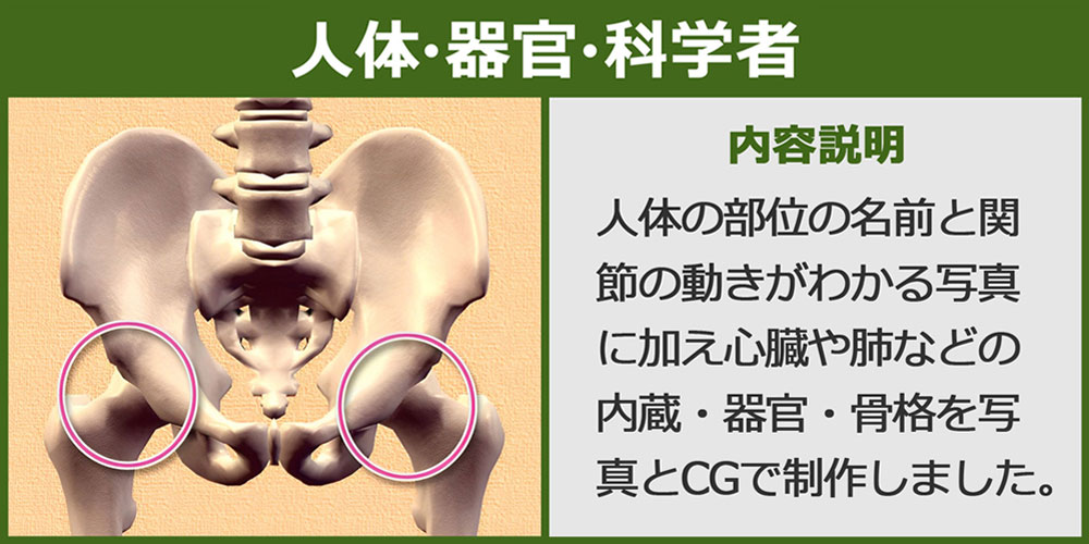 人体・器官・科学者