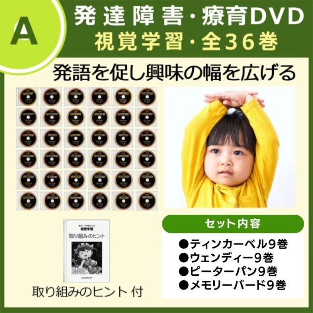 IQ才能学園　秀逸フラッシュシリーズ DVDセット+ 漢字入門　10点